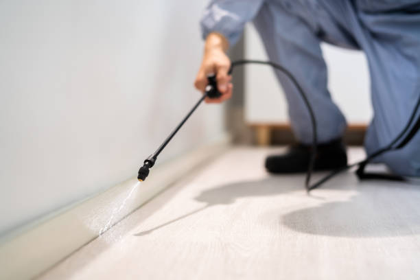 Licensed Pest Control service in Reed Creek, GA - Show Me Pest Control