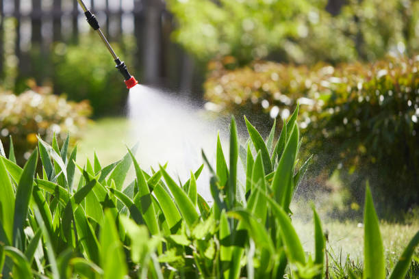 24/7 Emergency Mosquito Control experts in Reed Creek, GA